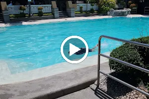 Villa Silvina Pool/Resort image