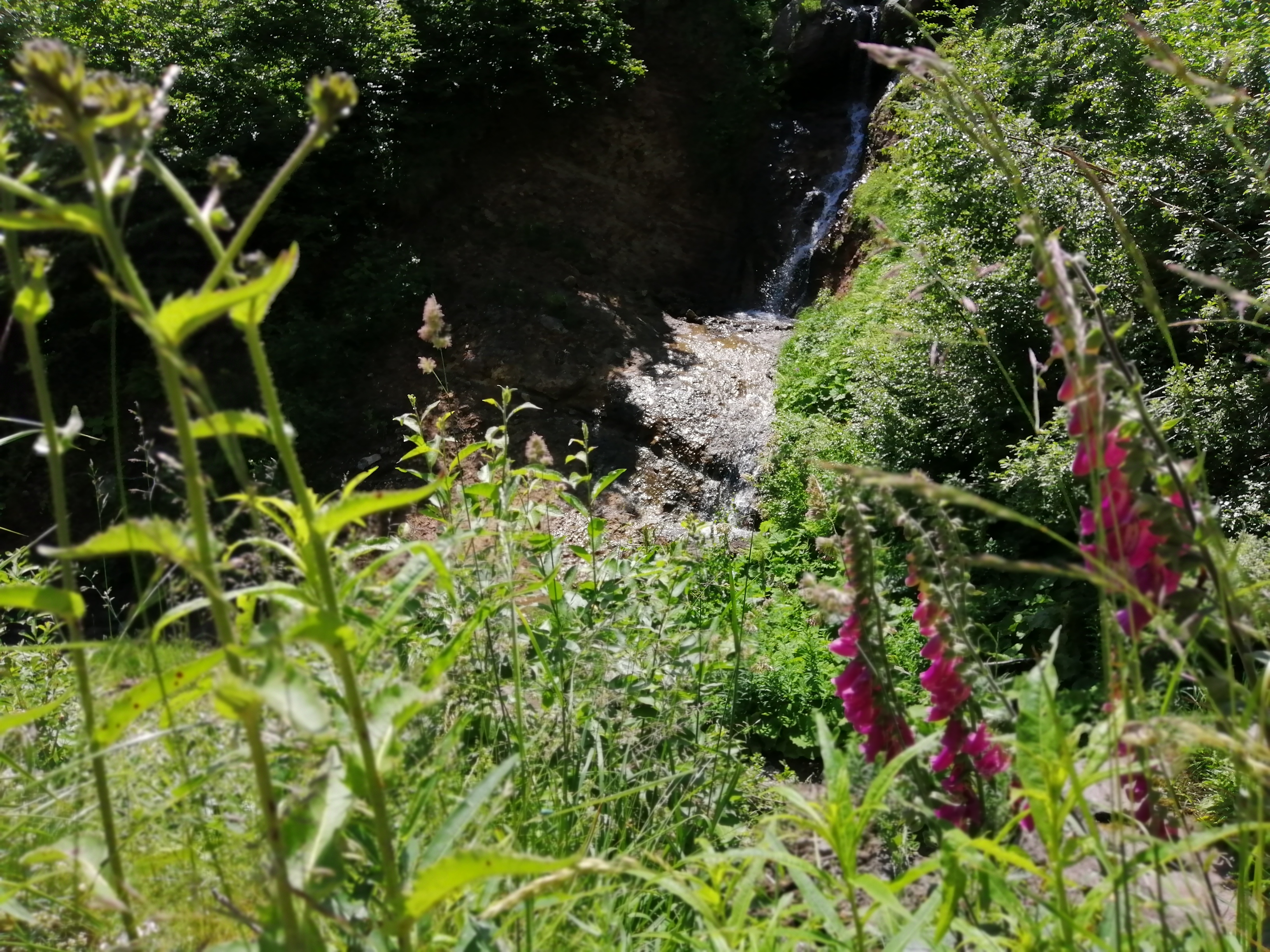 Photo n° 6 de l'avis de benoit.a fait le 12/07/2021 à 14:14