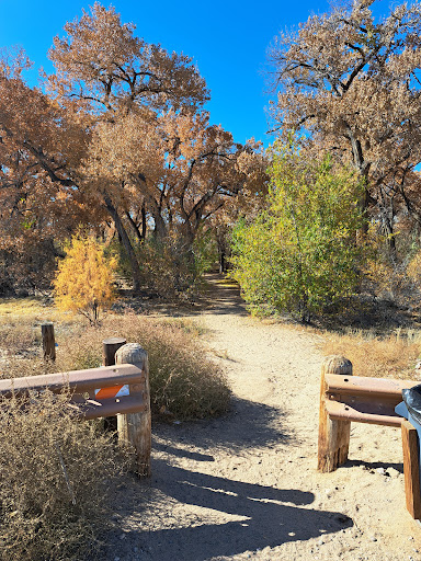 Tingley Drive Southern Bosque Trailhead