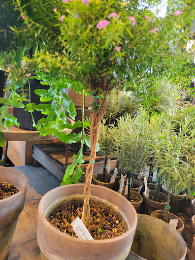 Garden Center «Terrain», reviews and photos, 561 Post Rd E, Westport, CT 06880, USA