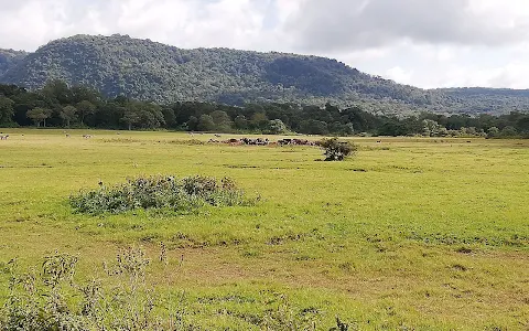 Arusha National Park Gate image