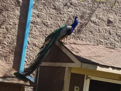 Auto Parts Store «Advance Auto Parts», reviews and photos, 1001 E Black Horse Pike, Pleasantville, NJ 08232, USA