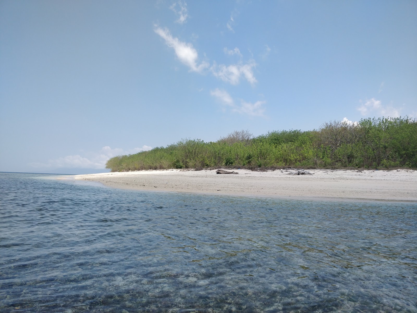 Gili Tangkong Beach photo #9