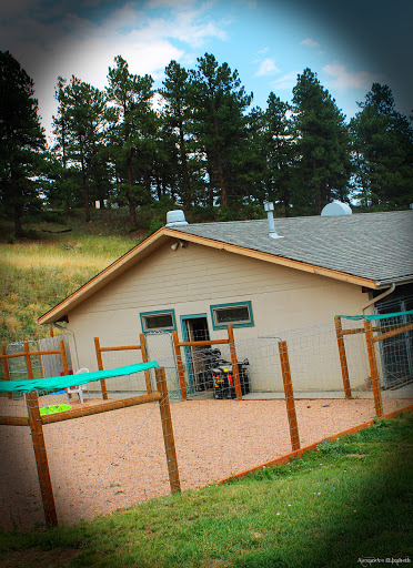 Kennel «Beaver Brook Pet Center & Pet Lodge», reviews and photos, 77 Elmgreen Ln, Evergreen, CO 80439, USA