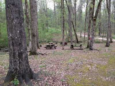 Photos of Bell Acres Resort