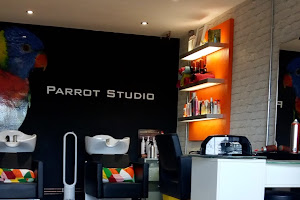 Parrot Studio