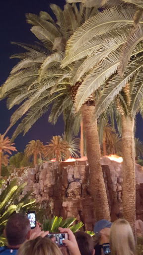 Hotel «The Mirage», reviews and photos, 3400 S Las Vegas Blvd, Las Vegas, NV 89109, USA