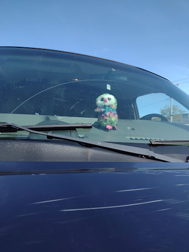 Pet Store «Pets World», reviews and photos, 147 Bridge St, Weymouth, MA 02191, USA