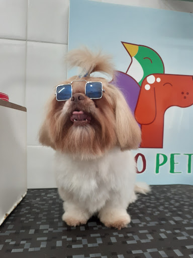 Logo da empresa - Stilo Pet
