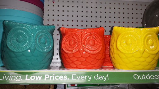 Discount Store «Dollar General», reviews and photos, 66707 Gratiot Ave, Lenox, MI 48050, USA