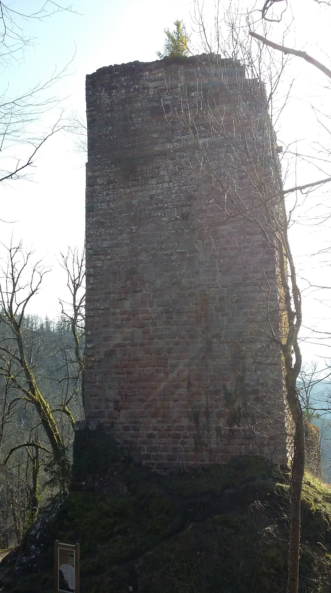 Photo n° 3 de l'avis de Grégoire.u fait le 06/03/2020 à 10:40