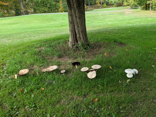 Public Golf Course «Falkirk Golf Club», reviews and photos, 206 Smith Clove Rd, Central Valley, NY 10917, USA