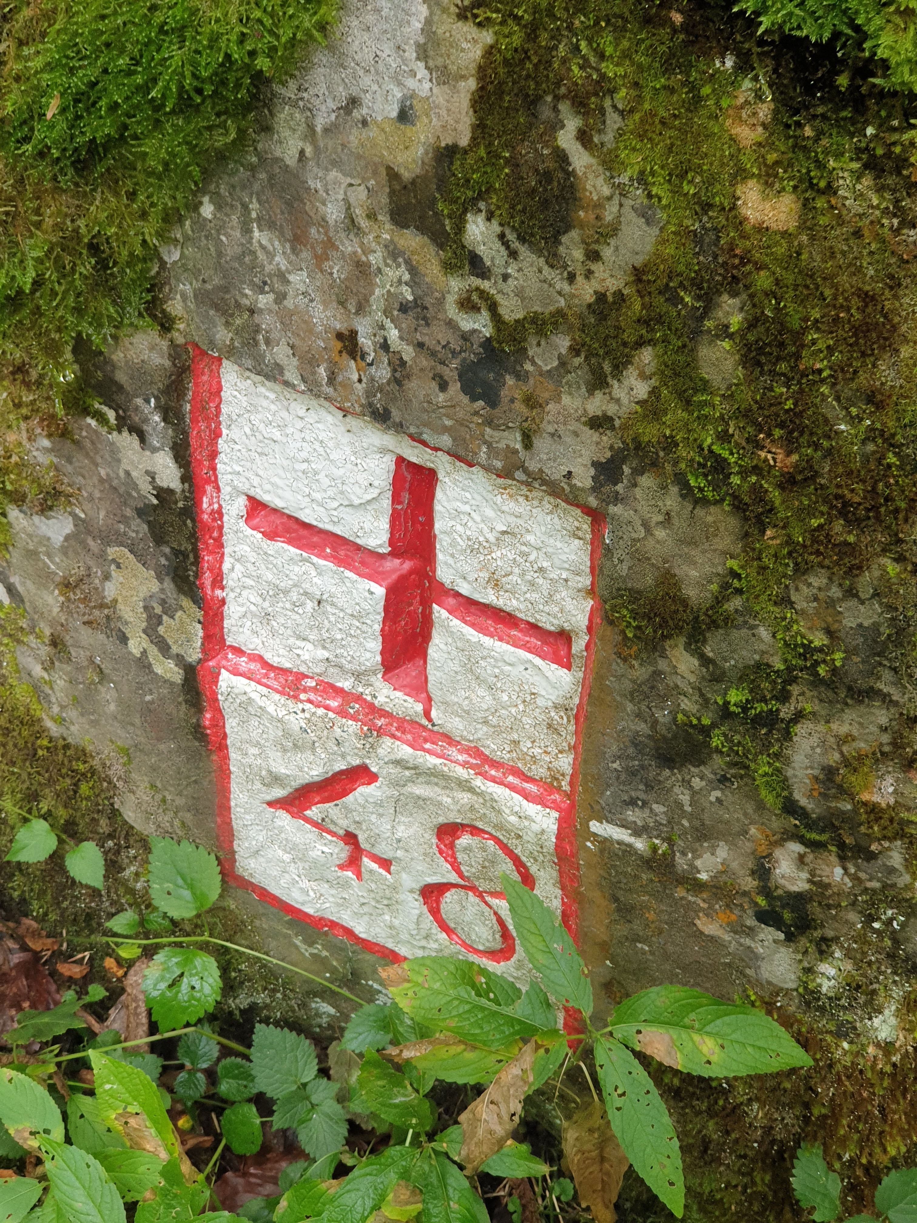 Photo n° 12 de l'avis de Sebastien.o fait le 03/08/2020 à 17:34