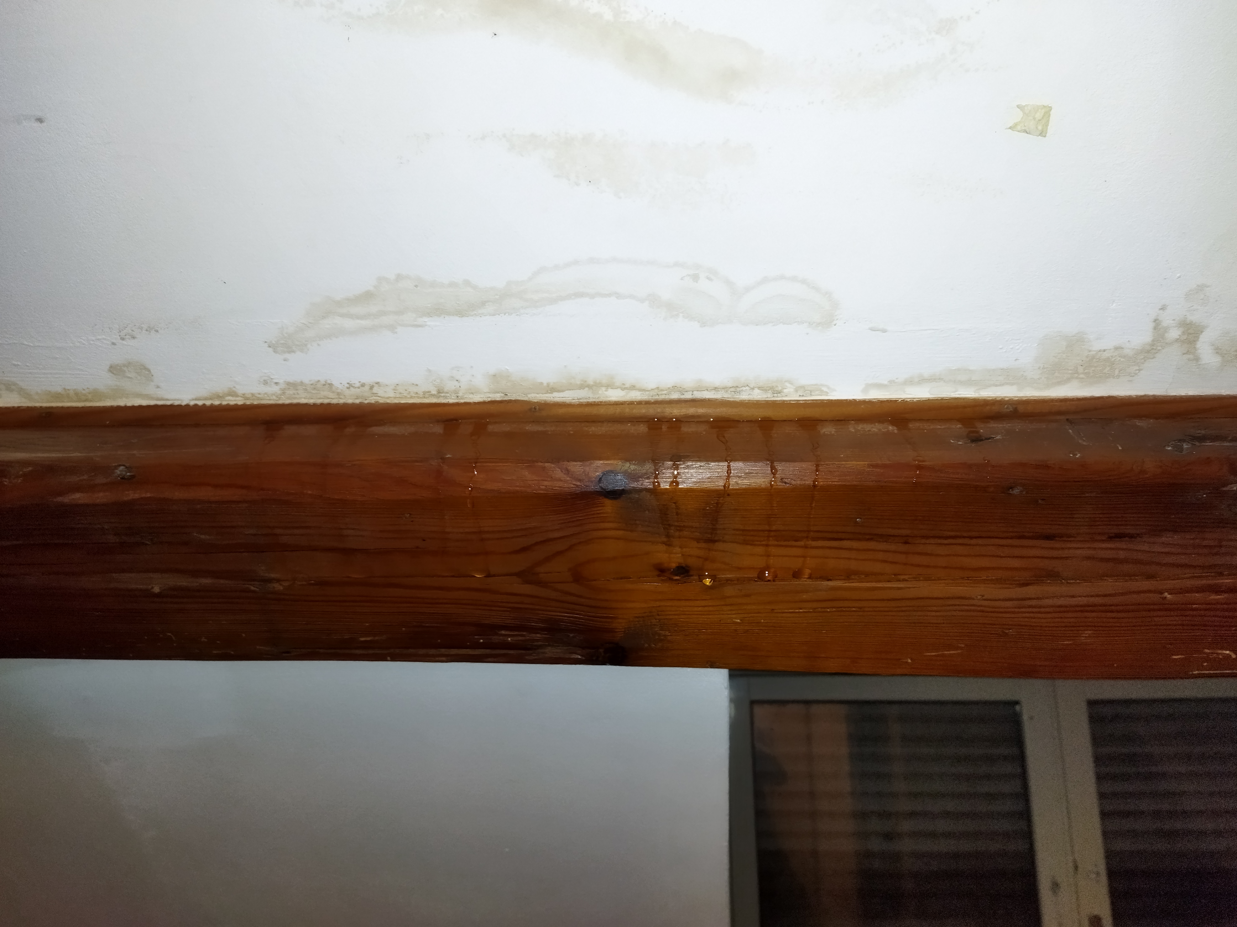 Photo n° 2 de l'avis de timanou76. fait le 01/11/2022 à 19:15