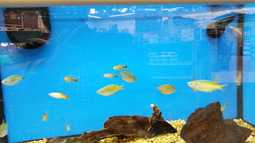 Pet Supply Store «Petco Animal Supplies», reviews and photos, 17930 Halsted St, Homewood, IL 60430, USA