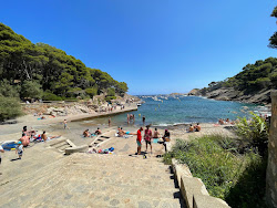 Photo de Cala Aiguafreda avec un niveau de propreté de très propre