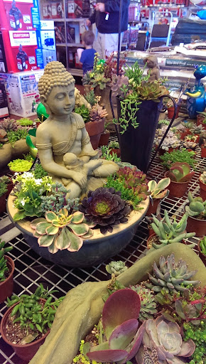 Hardware Store «Ventura Ace Hardware», reviews and photos, 7838 Telegraph Rd, Ventura, CA 93004, USA