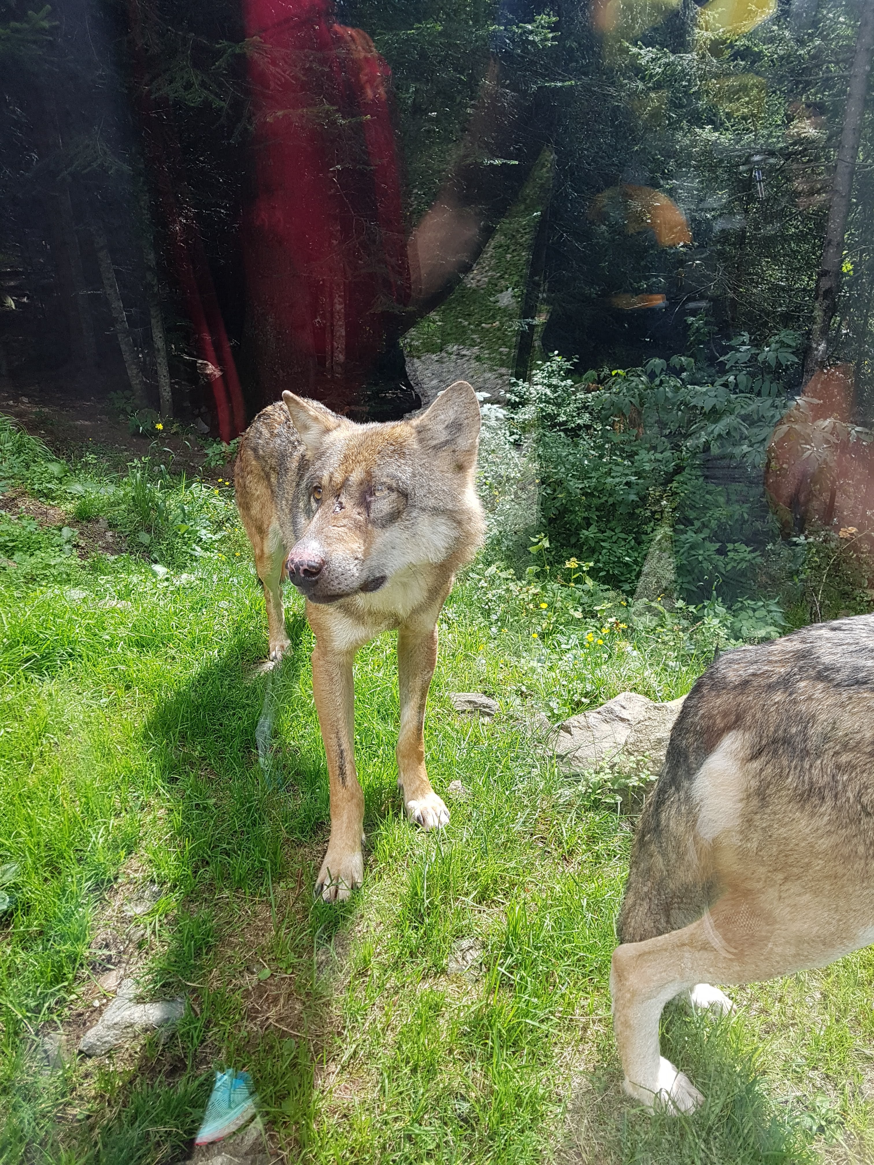 Photo n° 2 de l'avis de Romain.o fait le 10/09/2018 à 13:52