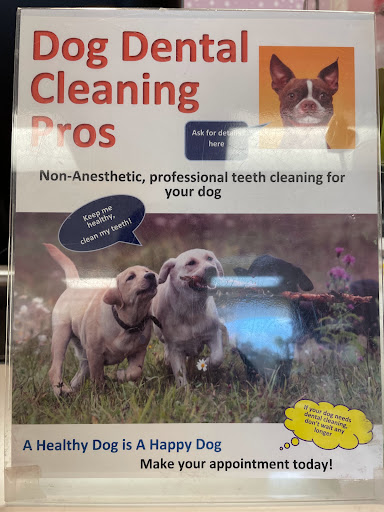 Pet Groomer «Furry Tails Pet Grooming», reviews and photos, 865 Cypress Pkwy, Poinciana, FL 34759, USA