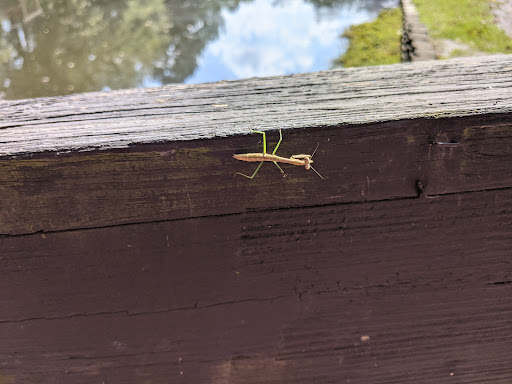 Park «Roswell Area Park», reviews and photos, 10495 Woodstock Rd, Roswell, GA 30075, USA