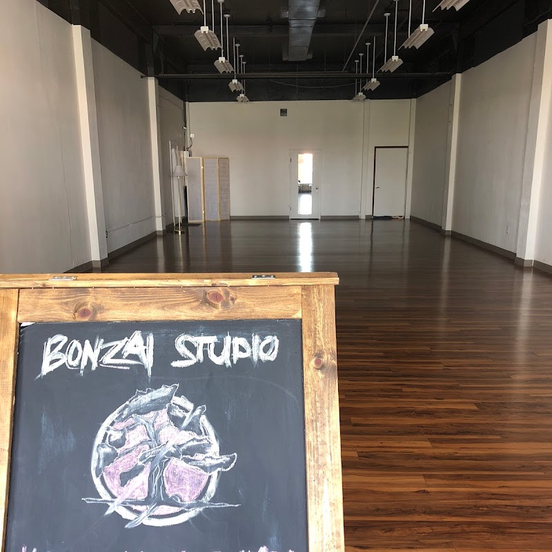 Bonzai Studio