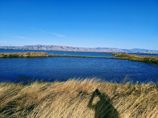 Golf Club «Golf Club Moffett Field», reviews and photos, 934 Macon Dr, Mountain View, CA 94043, USA