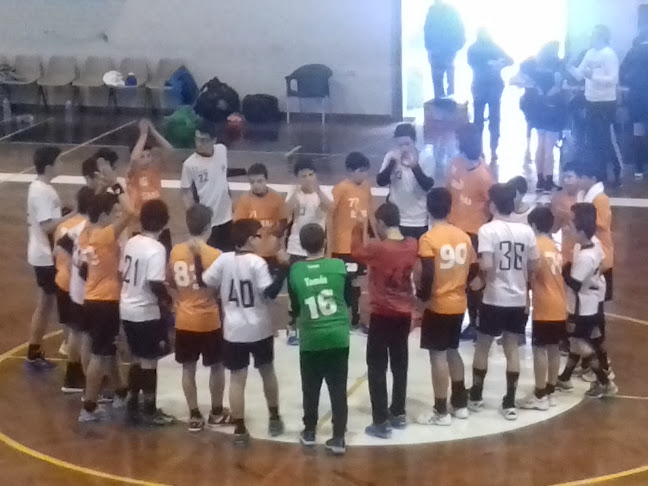 Académico Futebol Club - Pavilhão do Lima - Porto