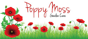 Poppy Moss Garden Care