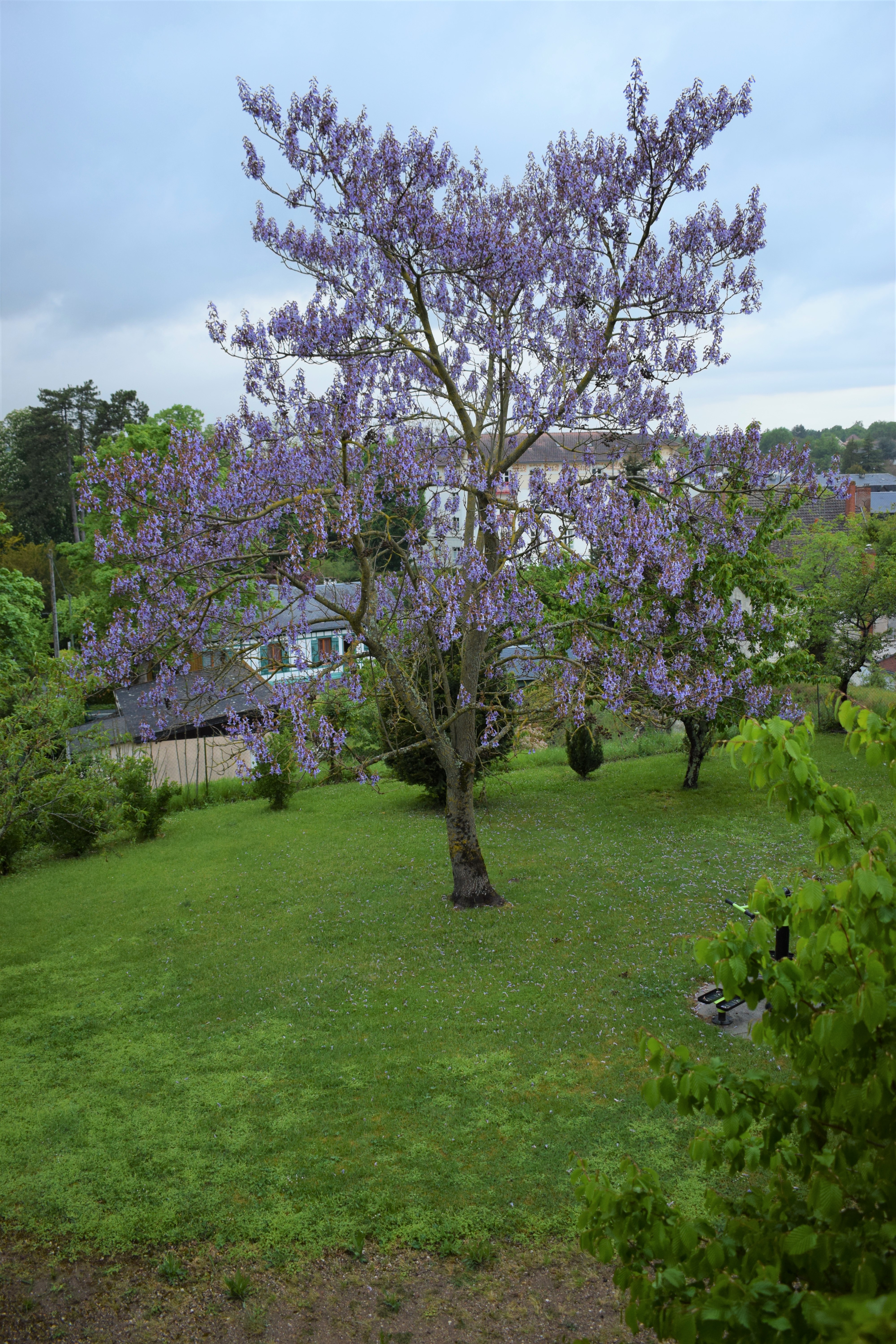 Photo n° 39 de l'avis de Valérie.I fait le 17/05/2021 à 16:08