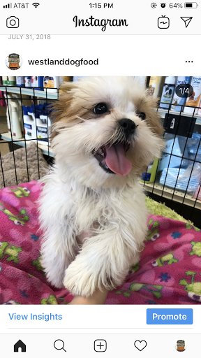 Pet Supply Store «Westland Dog Food Co Inc», reviews and photos, 37687 Ford Rd, Westland, MI 48185, USA