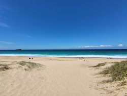 Zdjęcie Budgewoi Beach obszar udogodnień