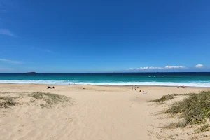 Budgewoi Dog Beach image