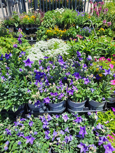 Department Store «Walmart Supercenter», reviews and photos, 2251 IN-54, Linton, IN 47441, USA