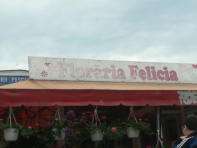 Opinii despre Florăria Felicia în <nil> - Florărie