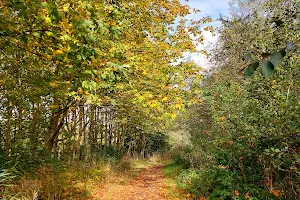 Bergmolenbos image