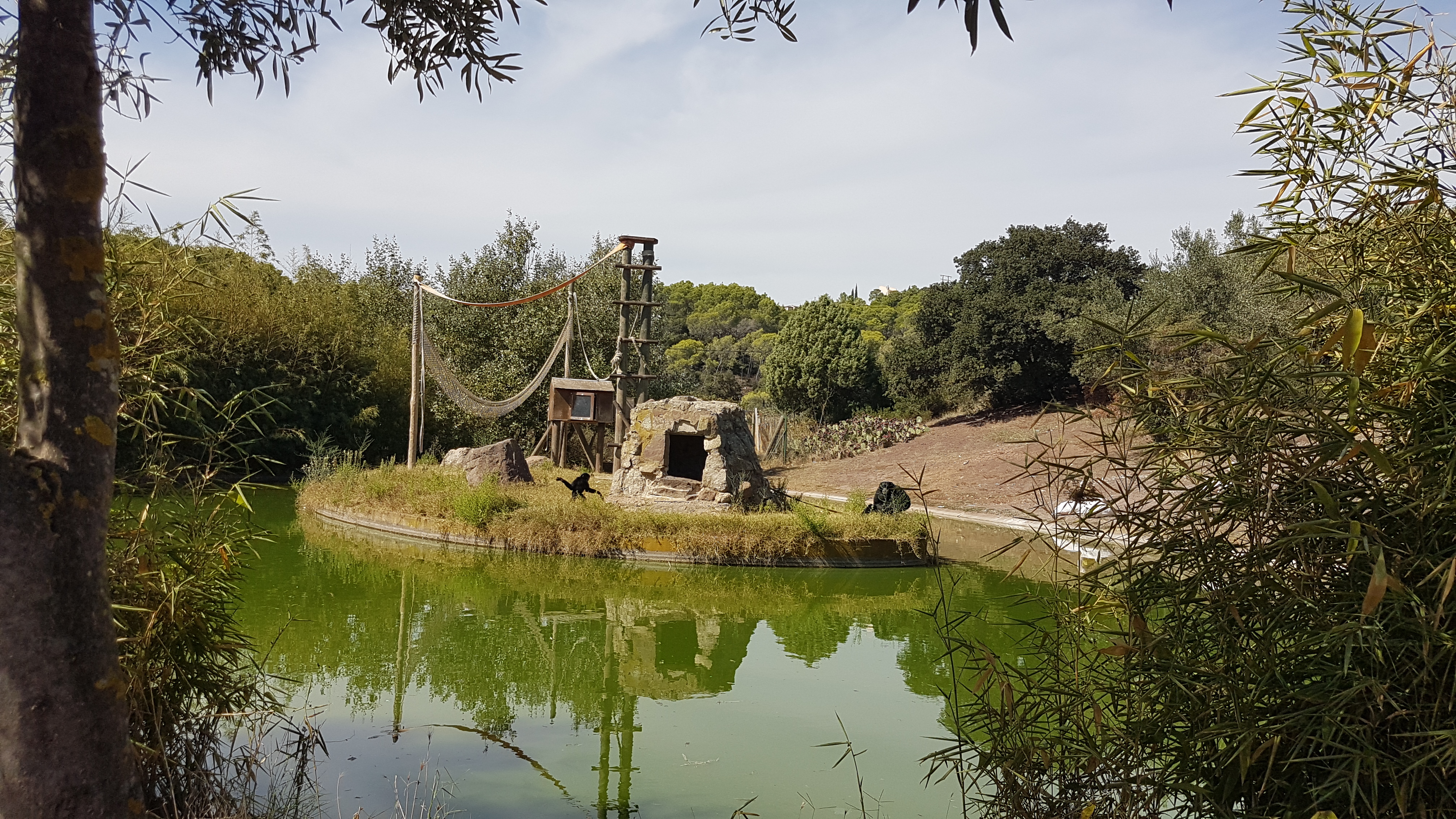 Photo n° 40 de l'avis de Armand.A fait le 09/09/2018 à 19:52