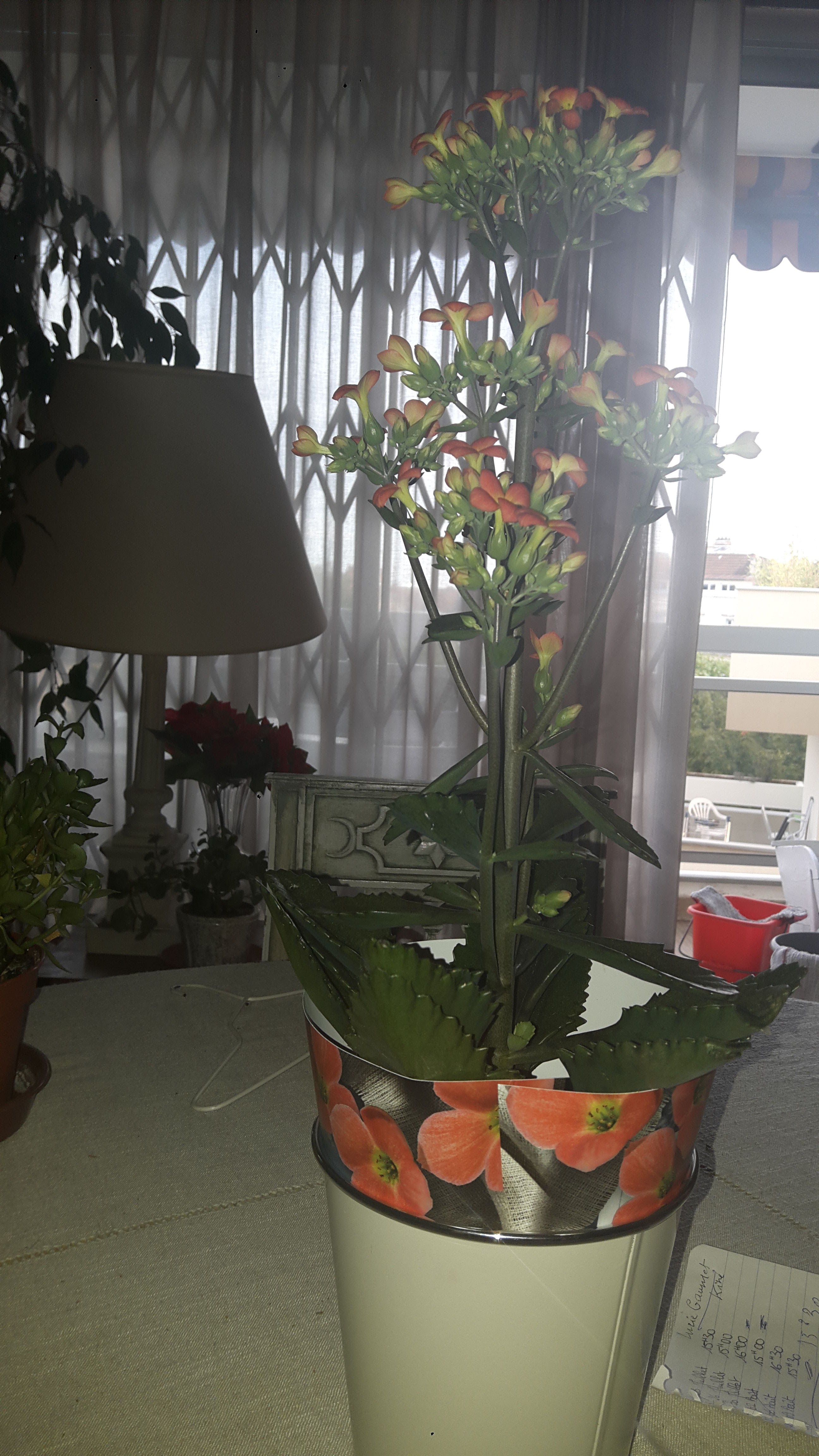 Photo n° 1 de l'avis de Fanelle.G fait le 14/08/2018 à 04:38