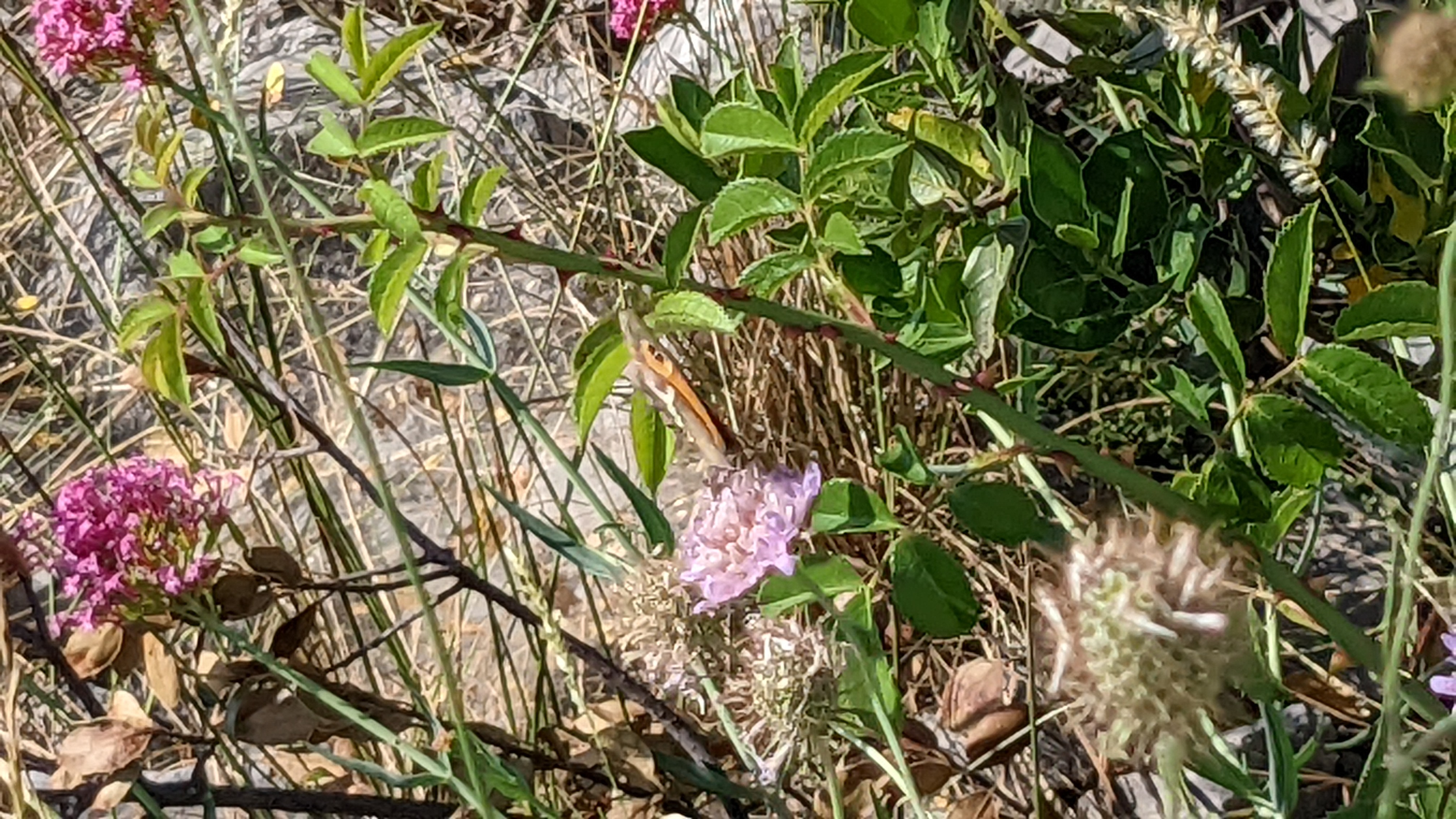 Photo n° 1 de l'avis de Aimé.I fait le 05/06/2022 à 17:27