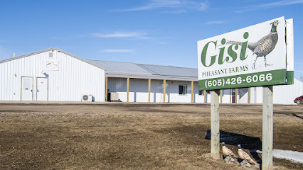 Gisi Pheasant Farms