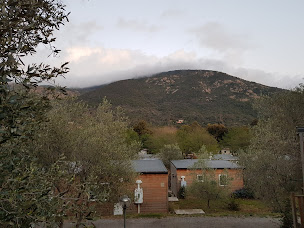 Photo n°9 de La Palmeraie à Vico ()