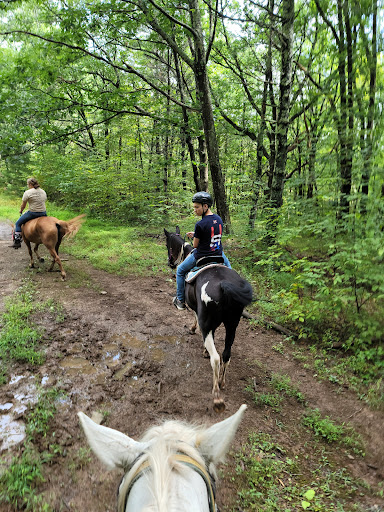 Zoo «Bailiwick Animal Park and Riding Stables», reviews and photos, 118 Castle Rd, Catskill, NY 12414, USA