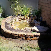 Aquatopia Water Gardens - Photo 6 - Car repair in , Menifee