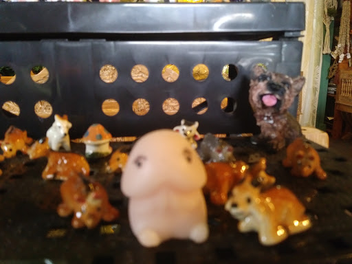 Florist «Thai-Rific Orchids Inc», reviews and photos, 5313 Gulfport Blvd S, Gulfport, FL 33707, USA