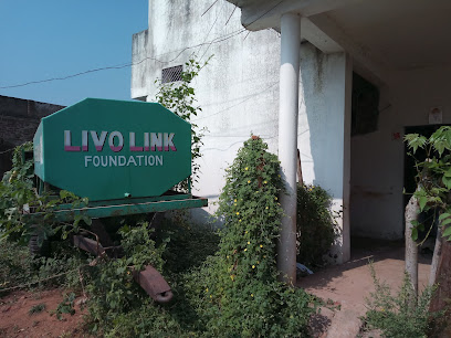 Livolink Foundation