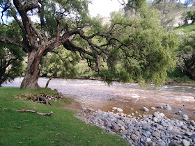 Jardines del Río