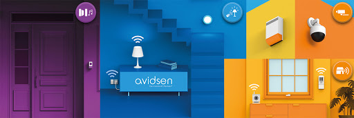 Avidsen Ibérica S.A.U. en Palau-solità i Plegamans, Barcelona