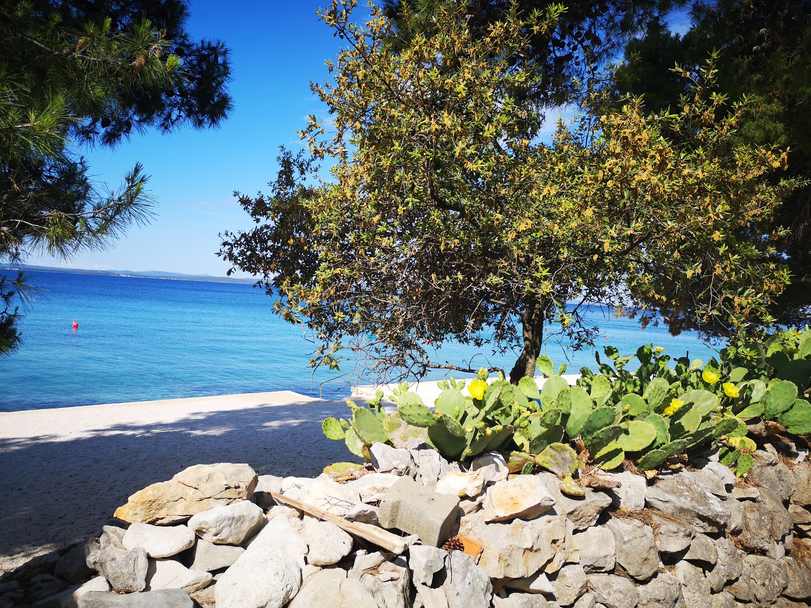 Foto av Radman beach - populär plats bland avkopplingskännare