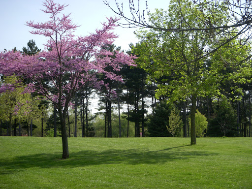 Golf Club «Fairlakes Golf Club», reviews and photos, 2203 County Rd 600 N, Secor, IL 61771, USA