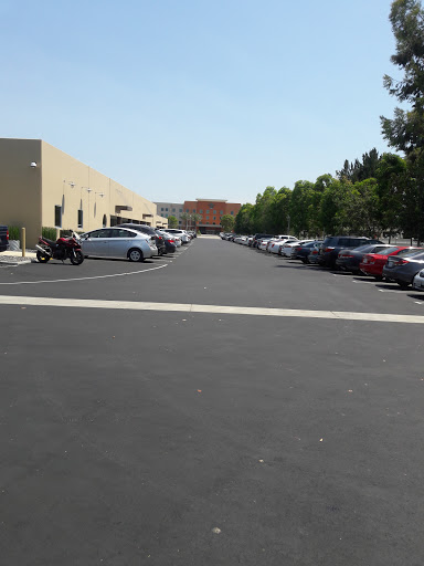 Law Firm «The Law Office of Bruce C. Bridgman», reviews and photos