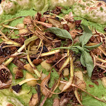 Photo n°4 de l'avis de Alessandro.i fait le 22/02/2023 à 14:30 sur le  081 Pizzeria à Melegnano